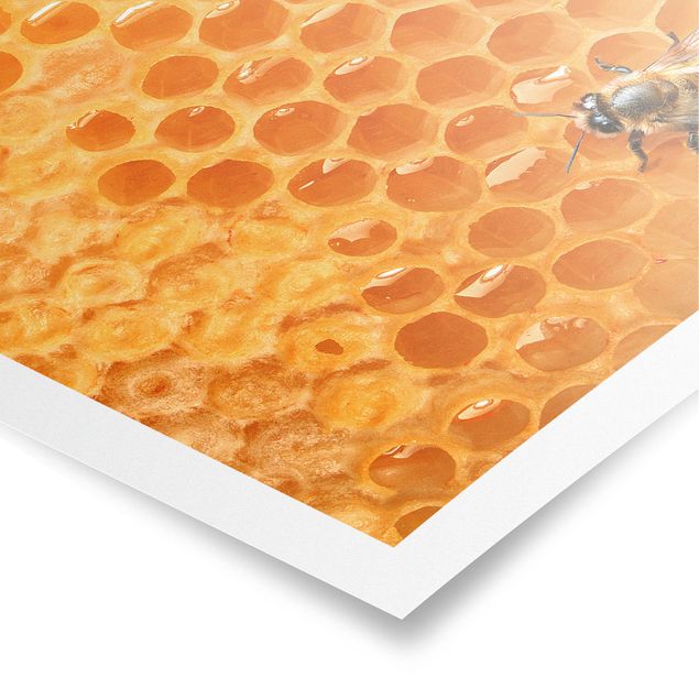 Poster - Honey Bee - Quadrato 1:1