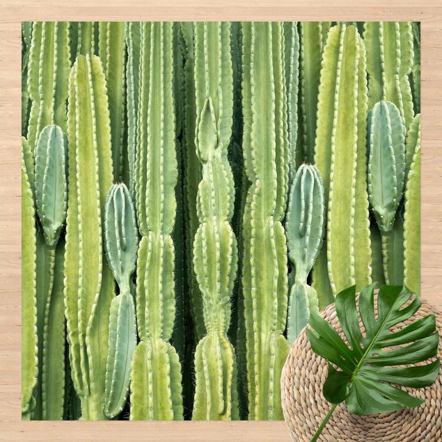 Tappeto da balcone Muro di cactus
