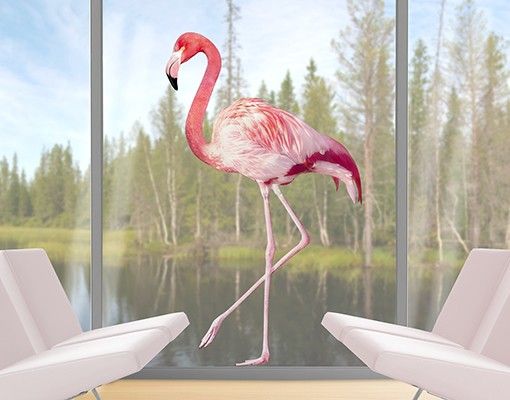 Pellicola per vetri con uccelli Fenicottero rosa