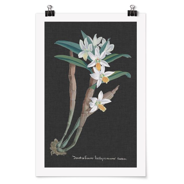 Poster - White Orchid su tela di canapa I - Verticale 3:2