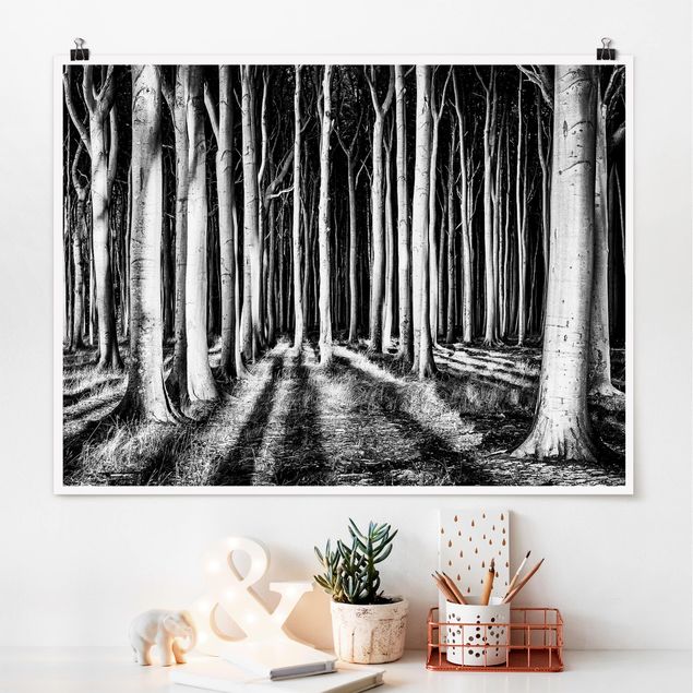 Poster bianco e nero formato orizzontale Foresta spettrale