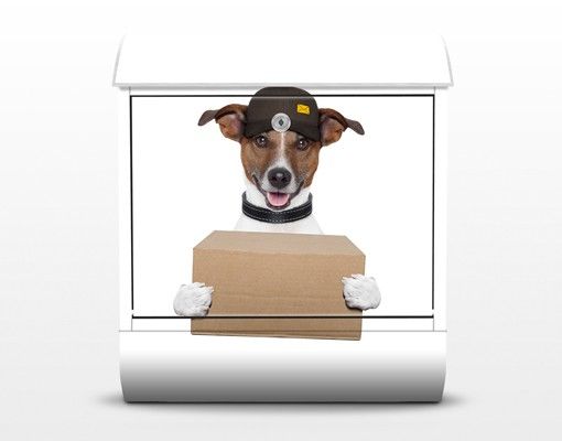 Cassetta postale Dog With Package 39x46x13cm