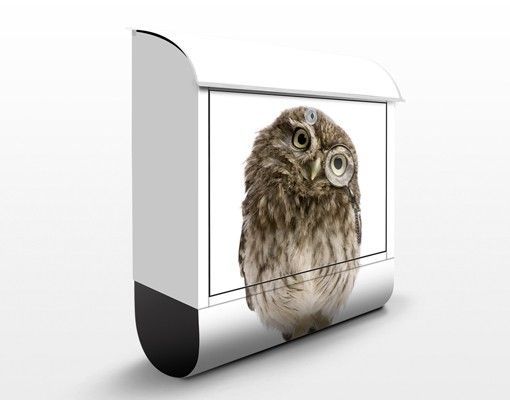 Cassetta postale Curious Owl 39x46x13cm