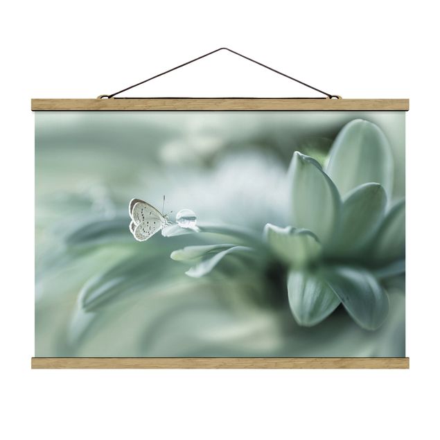 Foto su tessuto da parete con bastone - Farfalla E le gocce di rugiada In Pastel Verde - Orizzontale 2:3