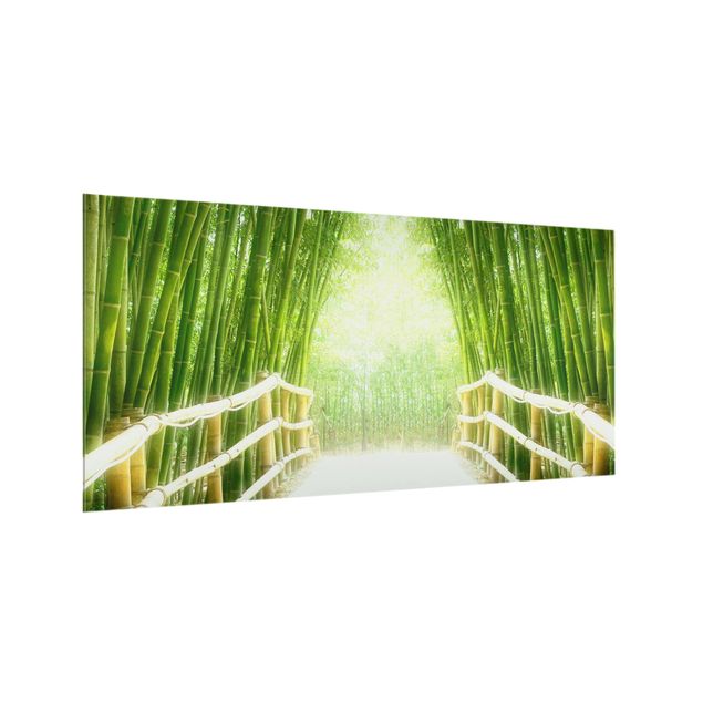 Paraschizzi in vetro - Bamboo Way