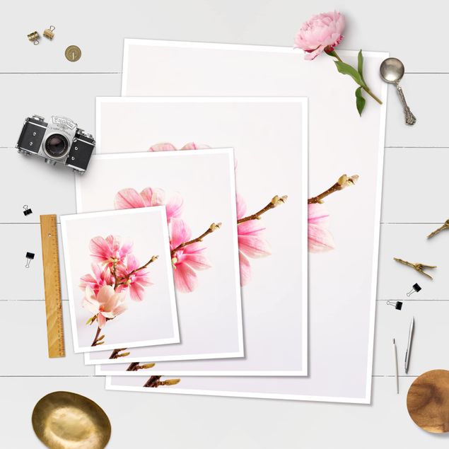 Poster - fiori di magnolia - Verticale 4:3