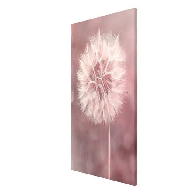 Lavagna magnetica - Dandelion rosa bokeh - Formato verticale 4:3