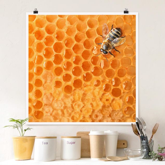 Poster - Honey Bee - Quadrato 1:1