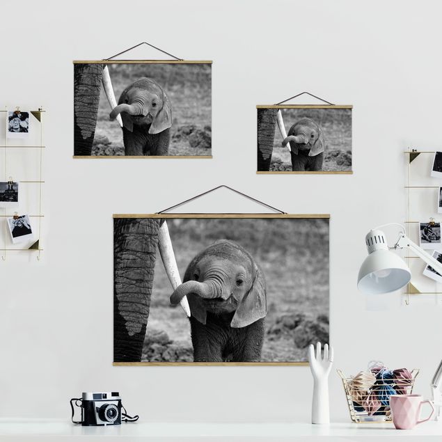 Foto su tessuto da parete con bastone - baby Elephant - Orizzontale 2:3