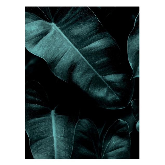 Lavagna magnetica - Foglie della giungla verde scuro