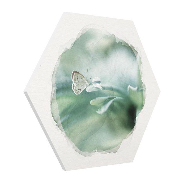 Esagono in forex - Acquerelli - Farfalla E gocce di rugiada In Pastel Verde
