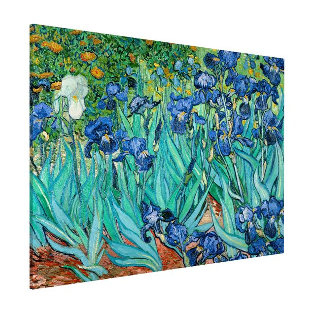 Lavagna magnetica per ufficio Vincent Van Gogh - Iris