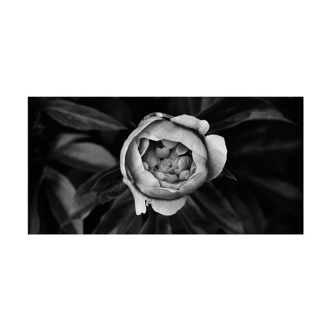 Tappeto cucina bianco e nero Fiore di peonia bianco Foglie anteriori nere