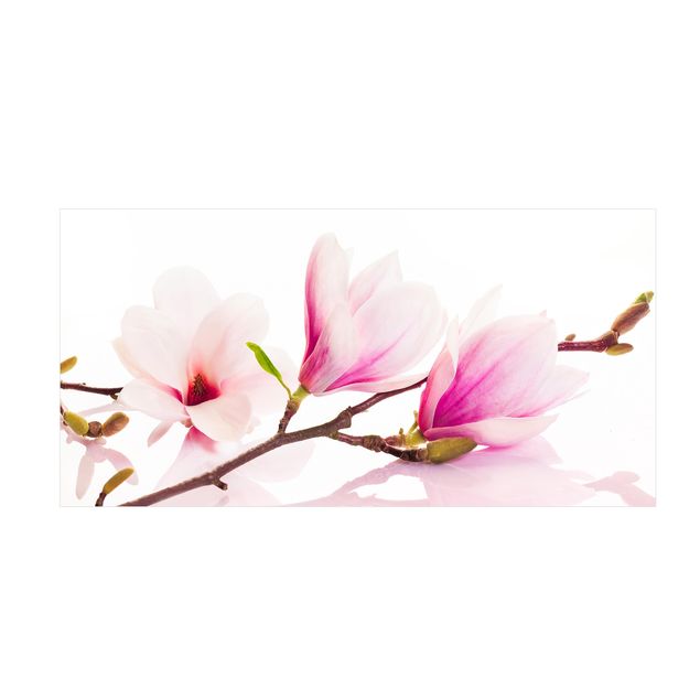 Tappeti rosa Delicato ramo di magnolia