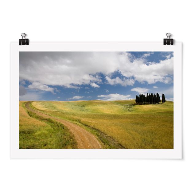 Poster - Alberi di Cypress In Toscana - Orizzontale 2:3