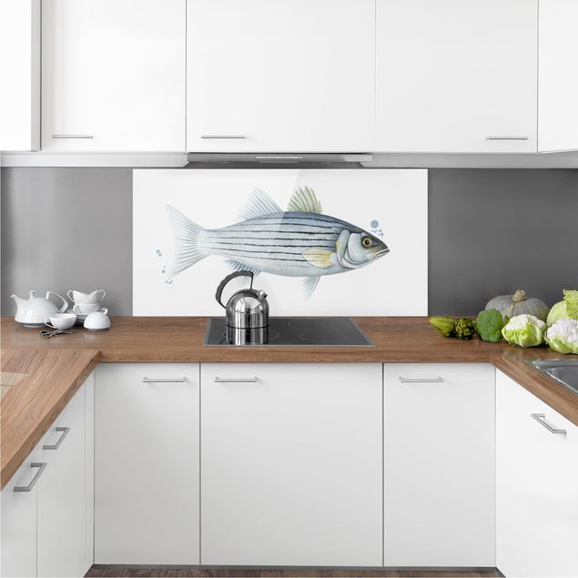 Paraschizzi cucina bianco Pesca a colori - Persico bianco