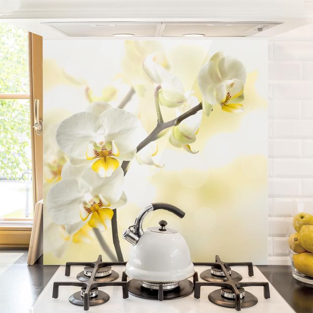paraschizzi cucina vetro magnetico ramo di orchidea