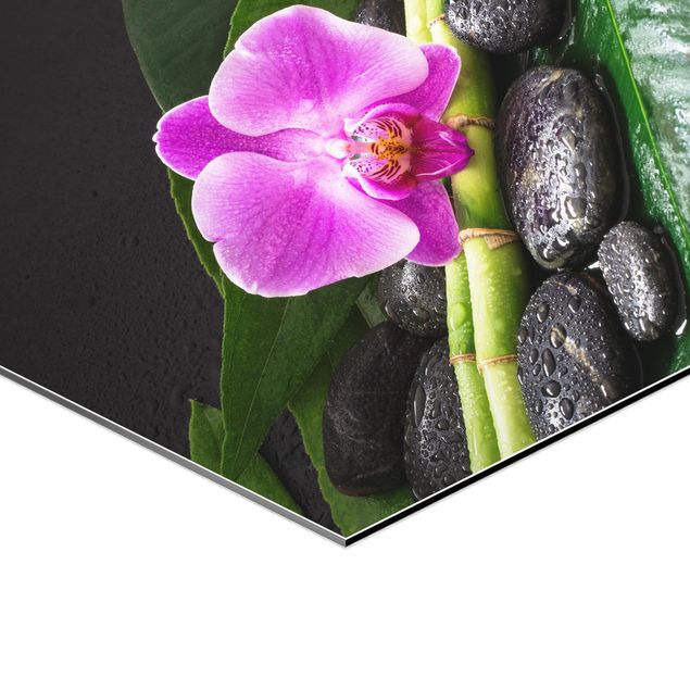 Esagono in Alluminio Dibond - Green Bamboo Con L'orchidea Blossom