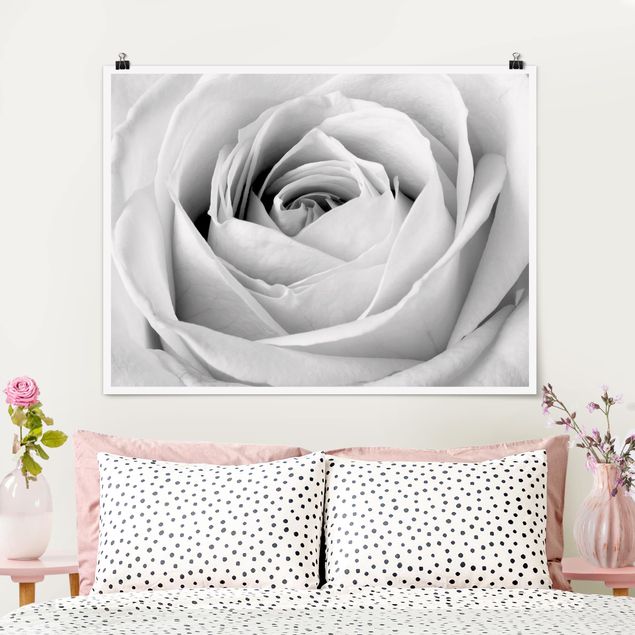 Poster bianco e nero formato orizzontale Rosa ravvicinata
