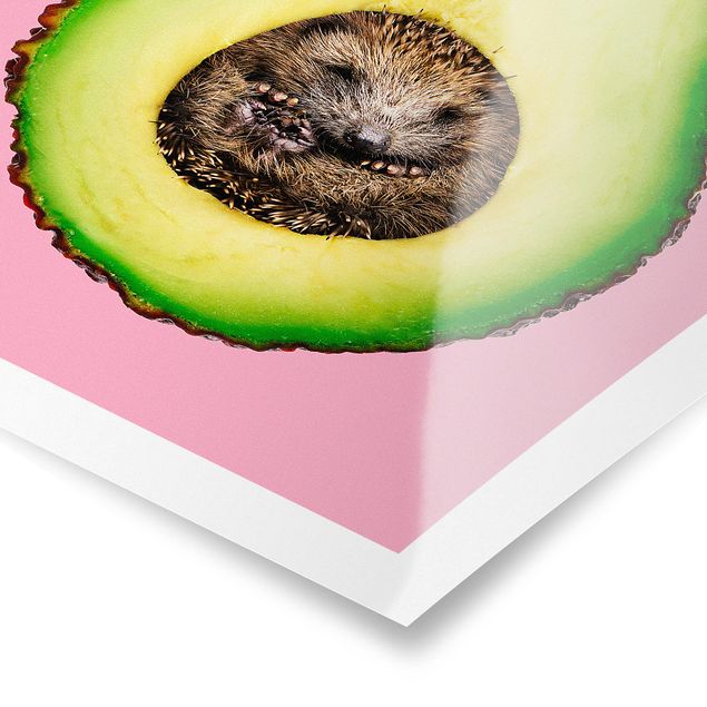 Poster - Jonas Loose - Avocado Con Hedgehog - Verticale 3:2