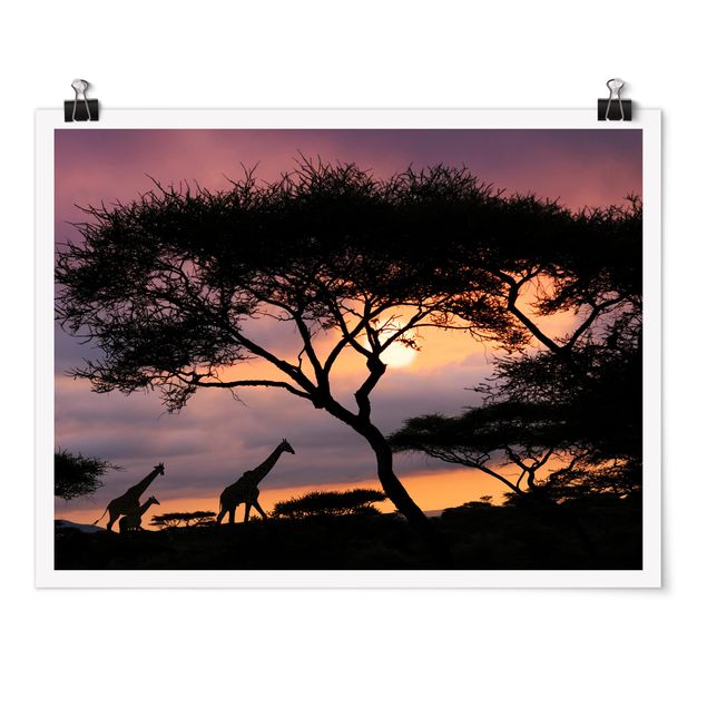 Poster - African Safari - Orizzontale 3:4
