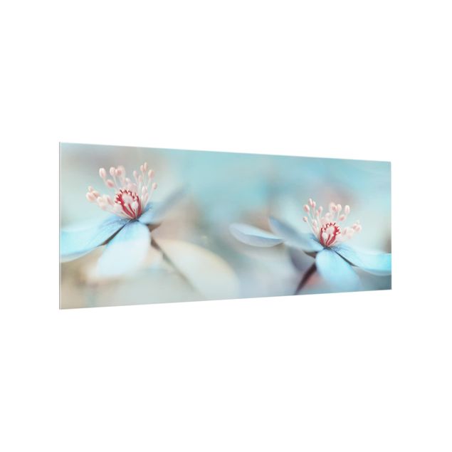 Paraschizzi in vetro - Flowers In Light Blue
