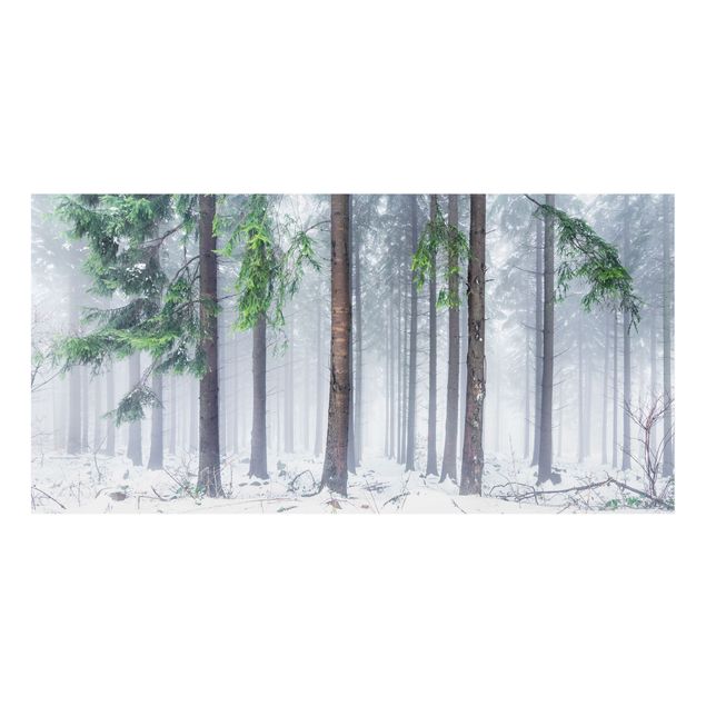 Paraschizzi in vetro - Conifere d'inverno - Formato orizzontale 2:1