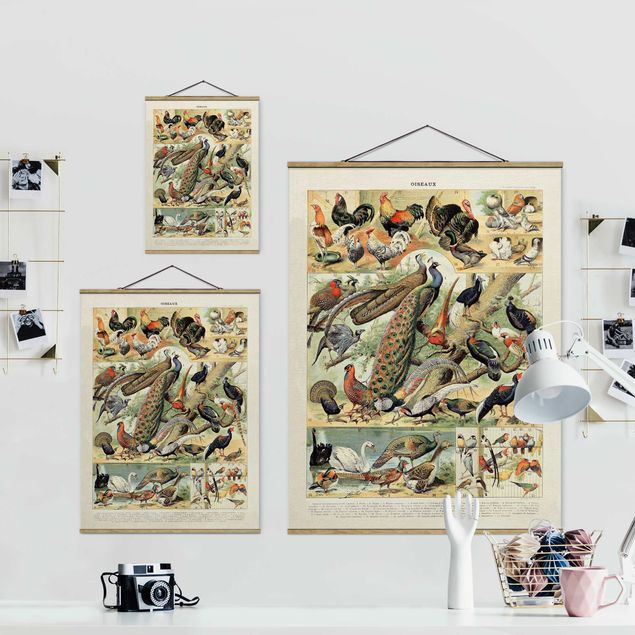 Foto su tessuto da parete con bastone - Uccelli d'epoca Consiglio europeo - Verticale 4:3