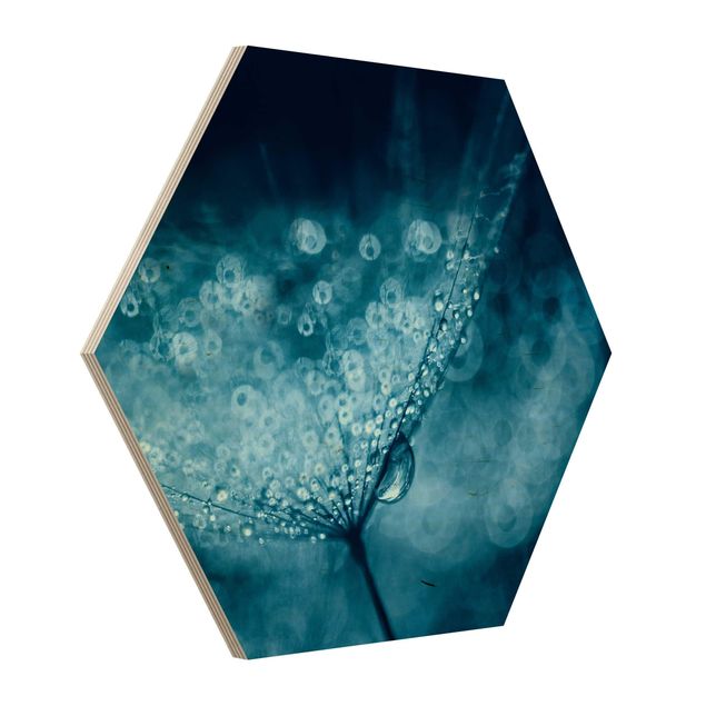 Esagono in legno - Blu Dandelion In The Rain