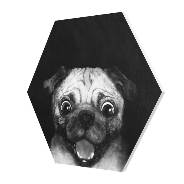 Esagono in forex - Illustrazione Pug Dog Pittura Su Bianco e nero