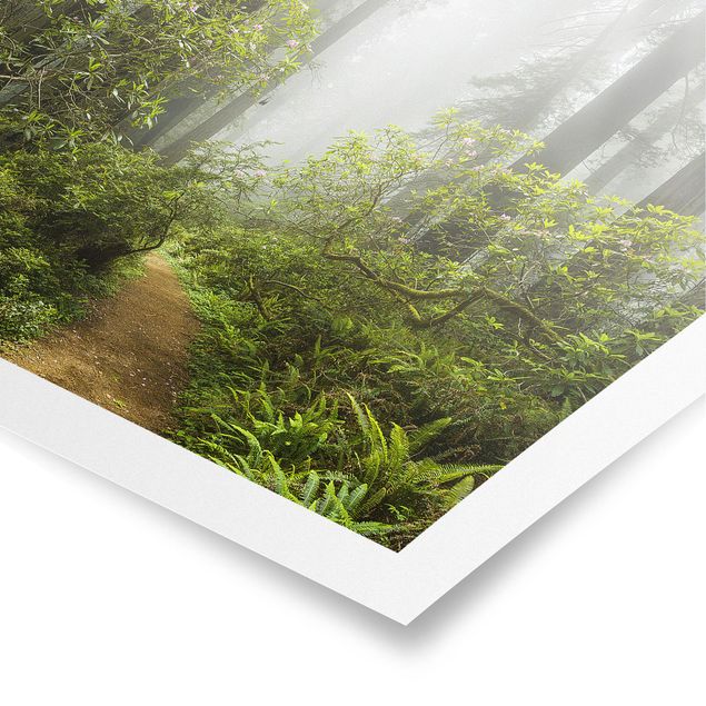 Poster - Percorso Misty Foresta - Orizzontale 3:4