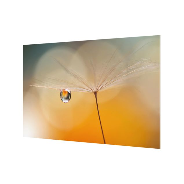 Paraschizzi in vetro - Dandelion In Orange