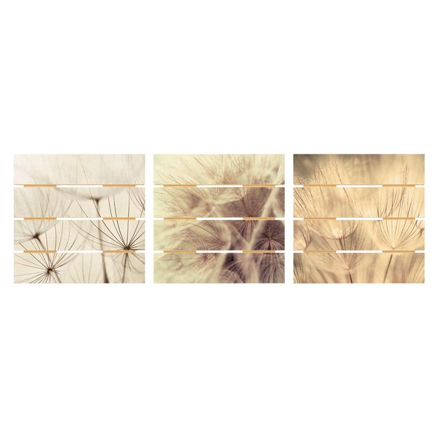 Quadro in legno effetto pallet - Denti di leone ed erbe - Quadrato 1:1