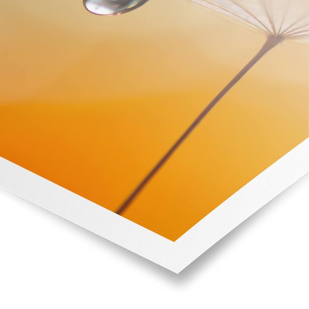 Poster - Dandelion In Arancione - Verticale 4:3