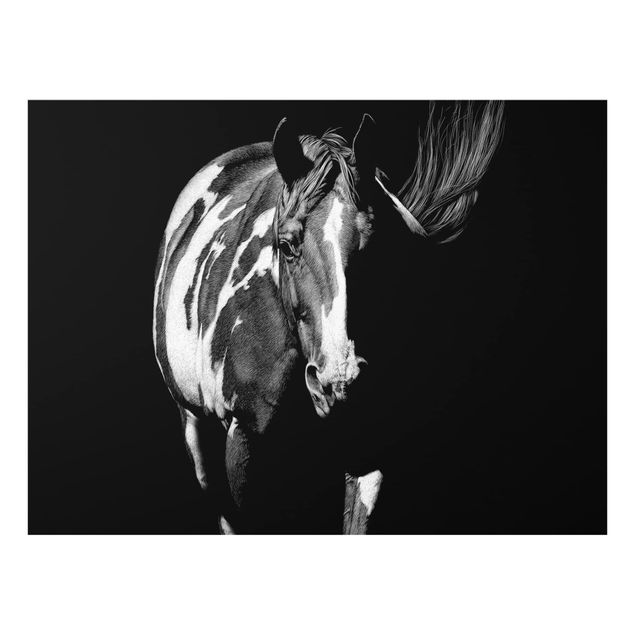Paraschizzi in vetro - Horse In The Dark