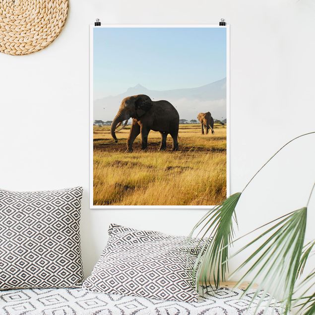 quadri con animali Elefanti di fronte al Kilimangiaro in Kenya