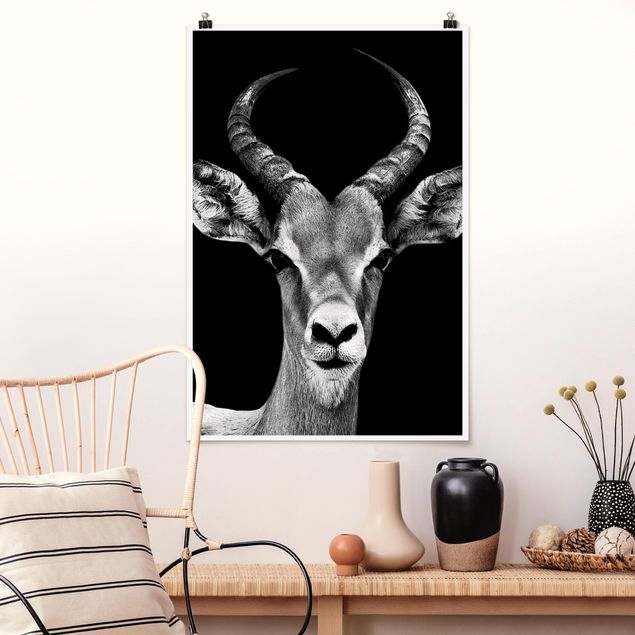 quadri con animali Antilope Impala in bianco e nero