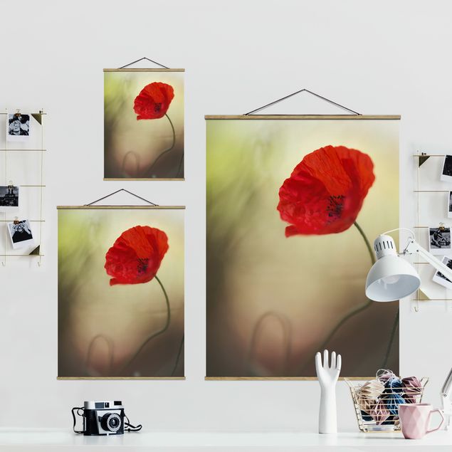 Foto su tessuto da parete con bastone - Papavero fiore nel giardino - Verticale 4:3