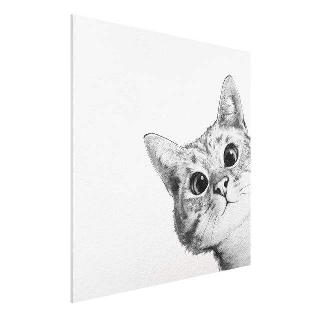 Stampa su Forex - Illustrazione Cat Disegno Nero Bianco - Quadrato 1:1