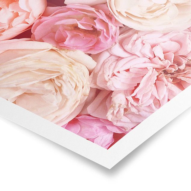 Poster - Rose Rose Coral Shabby - Panorama formato orizzontale