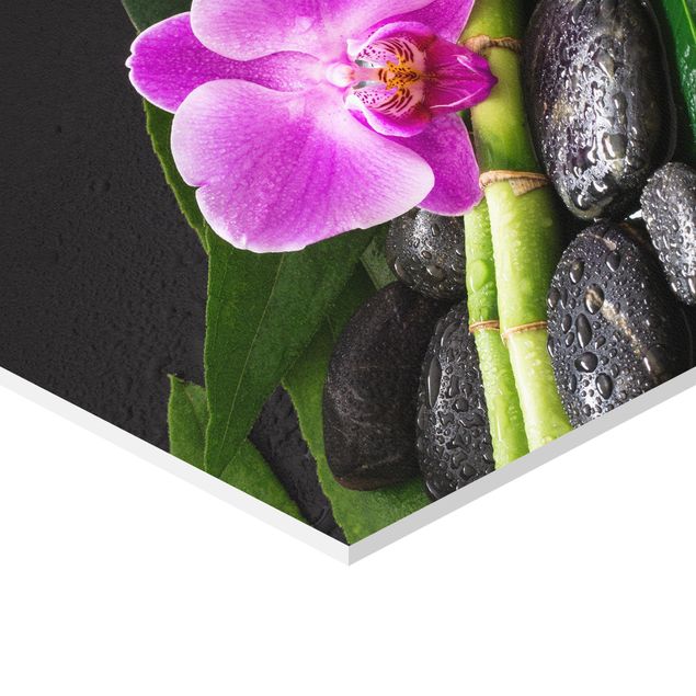 Esagono in forex - Green Bamboo Con L'orchidea Blossom