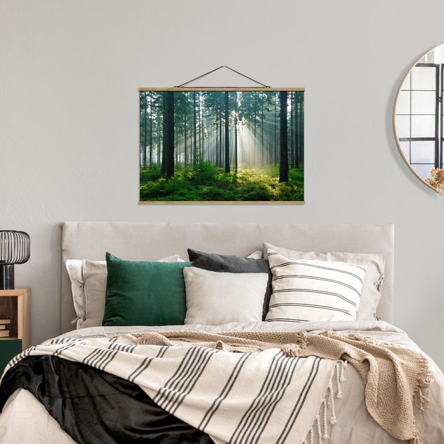 Foto su tessuto da parete con bastone - Enlightened Foresta - Orizzontale 2:3