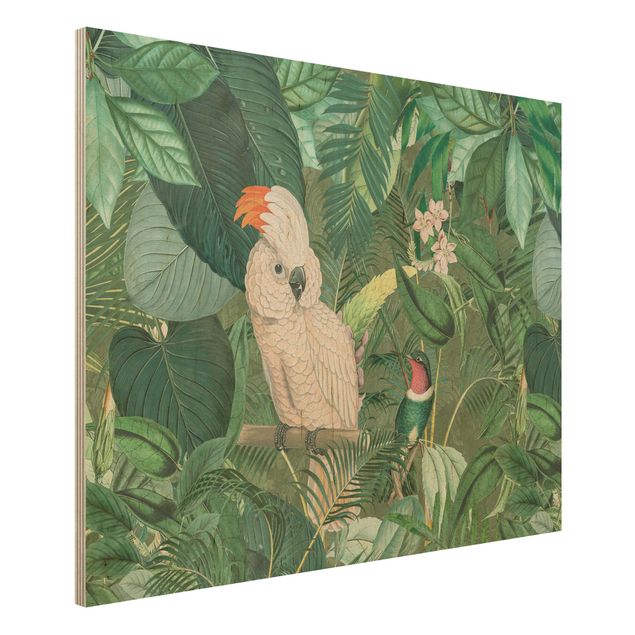 Stampa su legno - Vintage Collage - Cockatoo E Hummingbird - Orizzontale 3:4