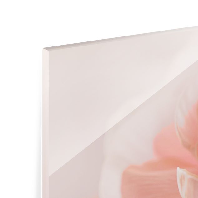 Paraschizzi in vetro - Focus su fioritura rosa - Panorama 5:2
