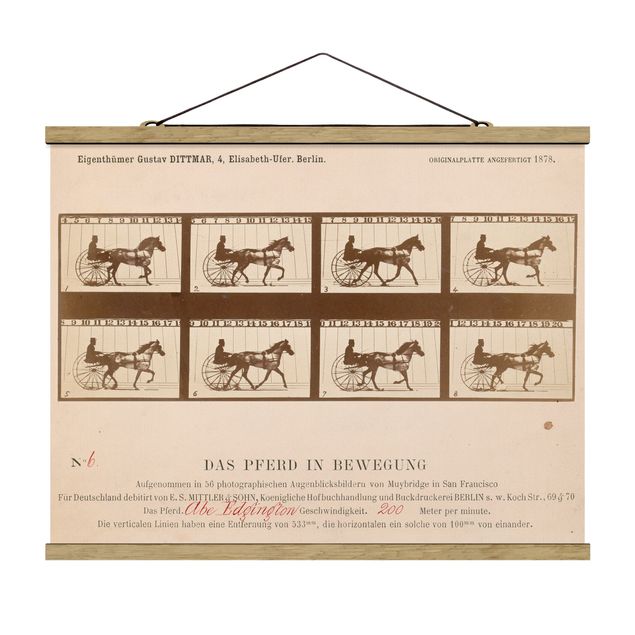 Foto su tessuto da parete con bastone - Eadweard Muybridge - Il Cavallo In Motion - Orizzontale 3:4