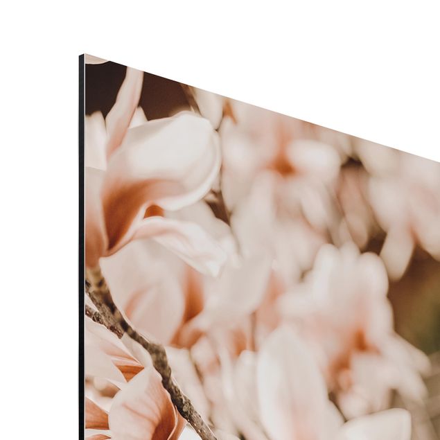Stampa su alluminio - Ramo di magnolia in stile vintage