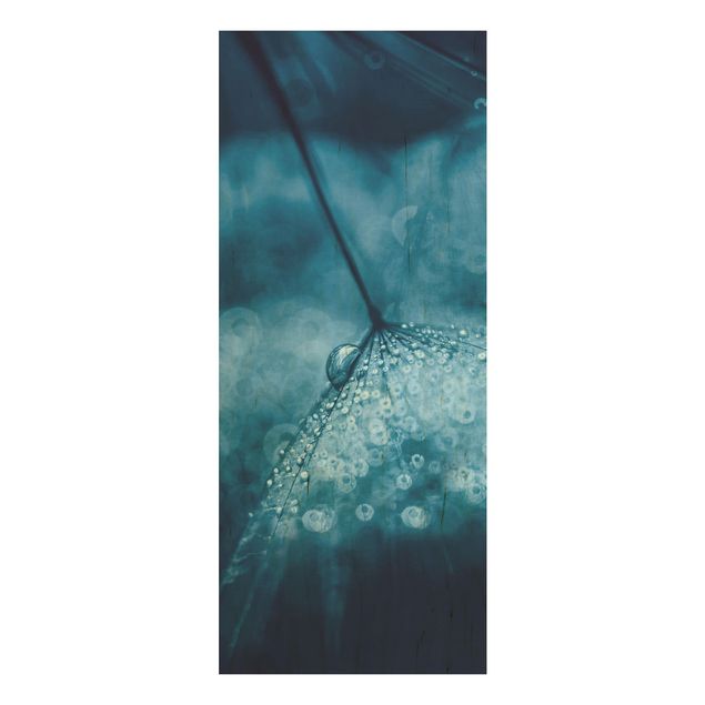 Quadro in legno - Tarassaco Blu In The Rain - Pannello