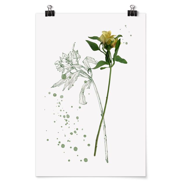 Poster - Acquerello Botanico - Lily - Verticale 3:2