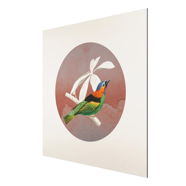 Stampa su alluminio - Collage di uccellini in cerchio II