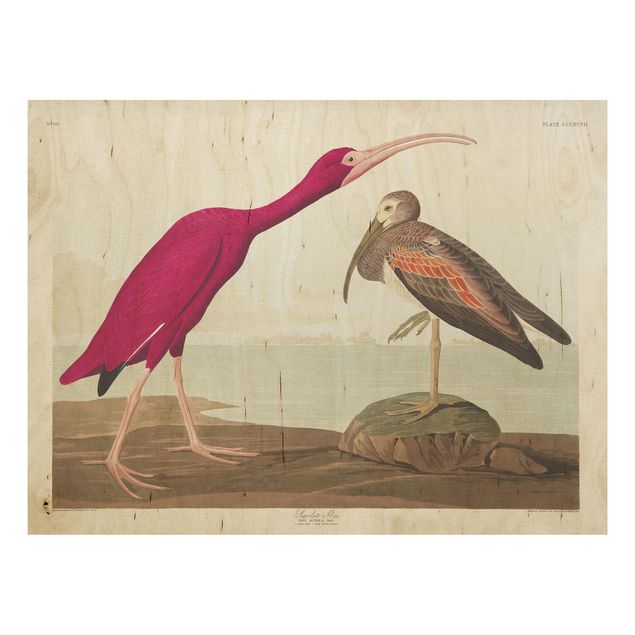 Stampa su legno - Vintage Consiglio Rosso Ibis - Orizzontale 3:4